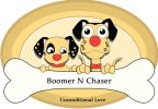 Plastic Framed Double Diner Pet Bowl in Stainless Steel; Small; Gold and Silver - BNC-14020